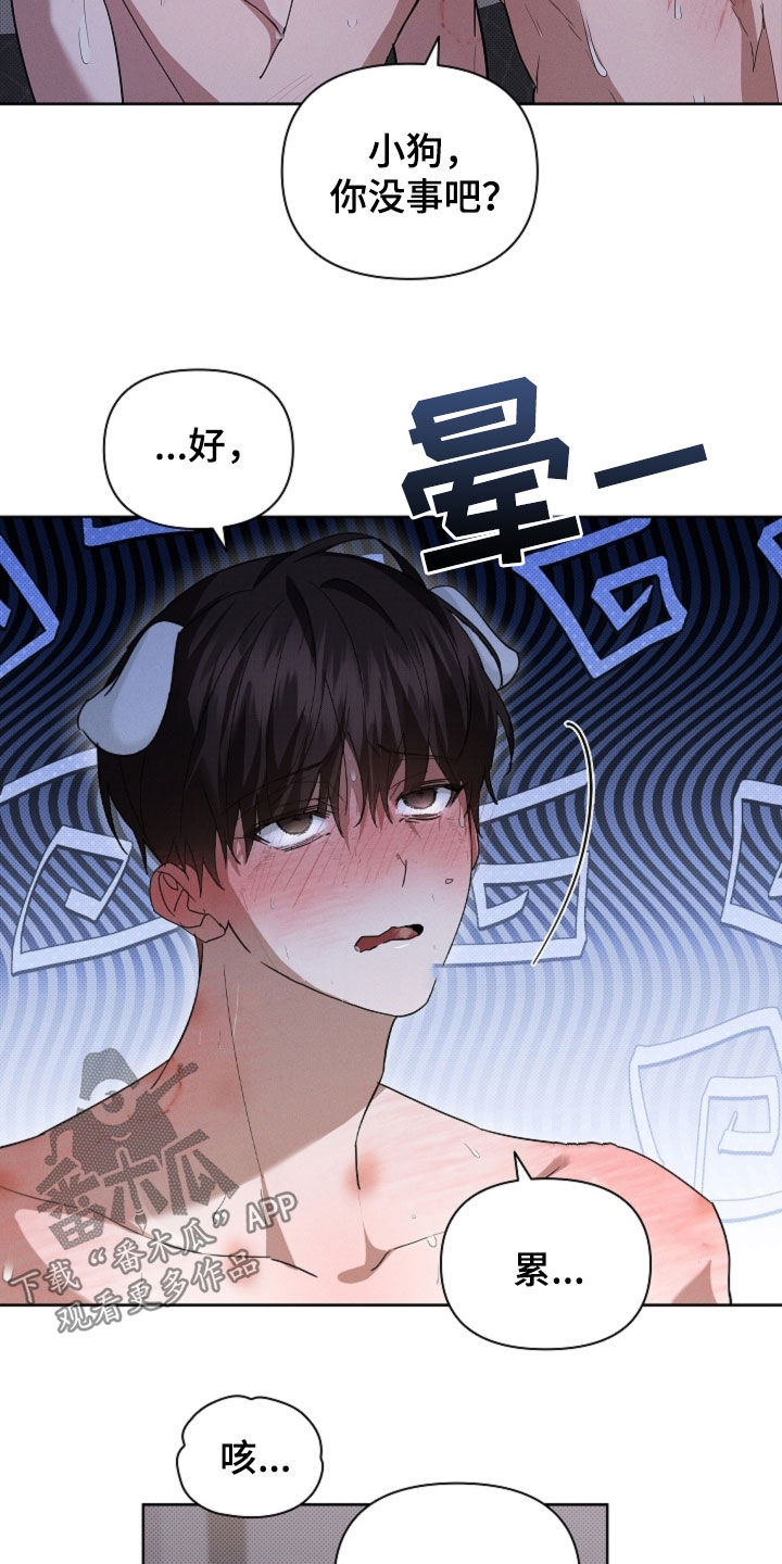 小白狗奇遇记漫画,第61章：真好看3图