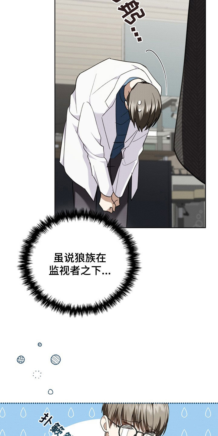 小白狗奇遇记漫画,第49章：建议1图