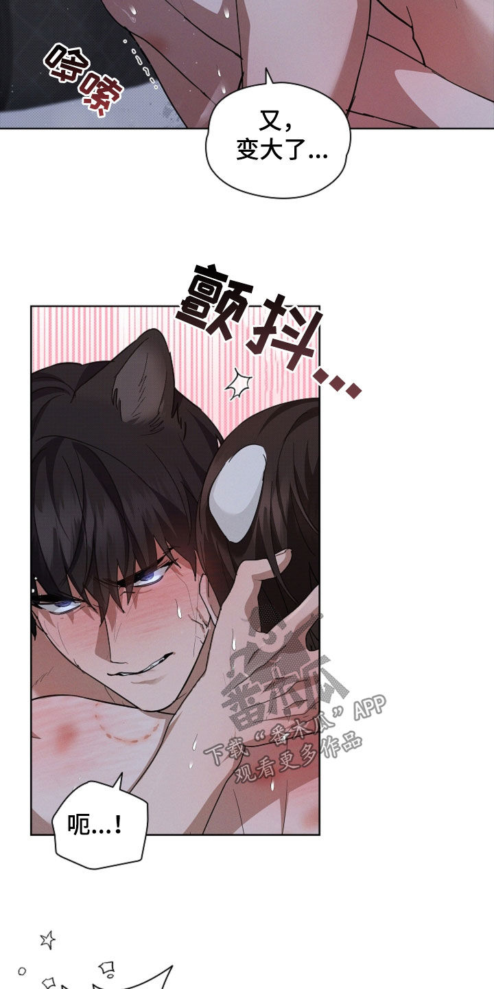 小白狗奇遇记漫画,第61章：真好看4图
