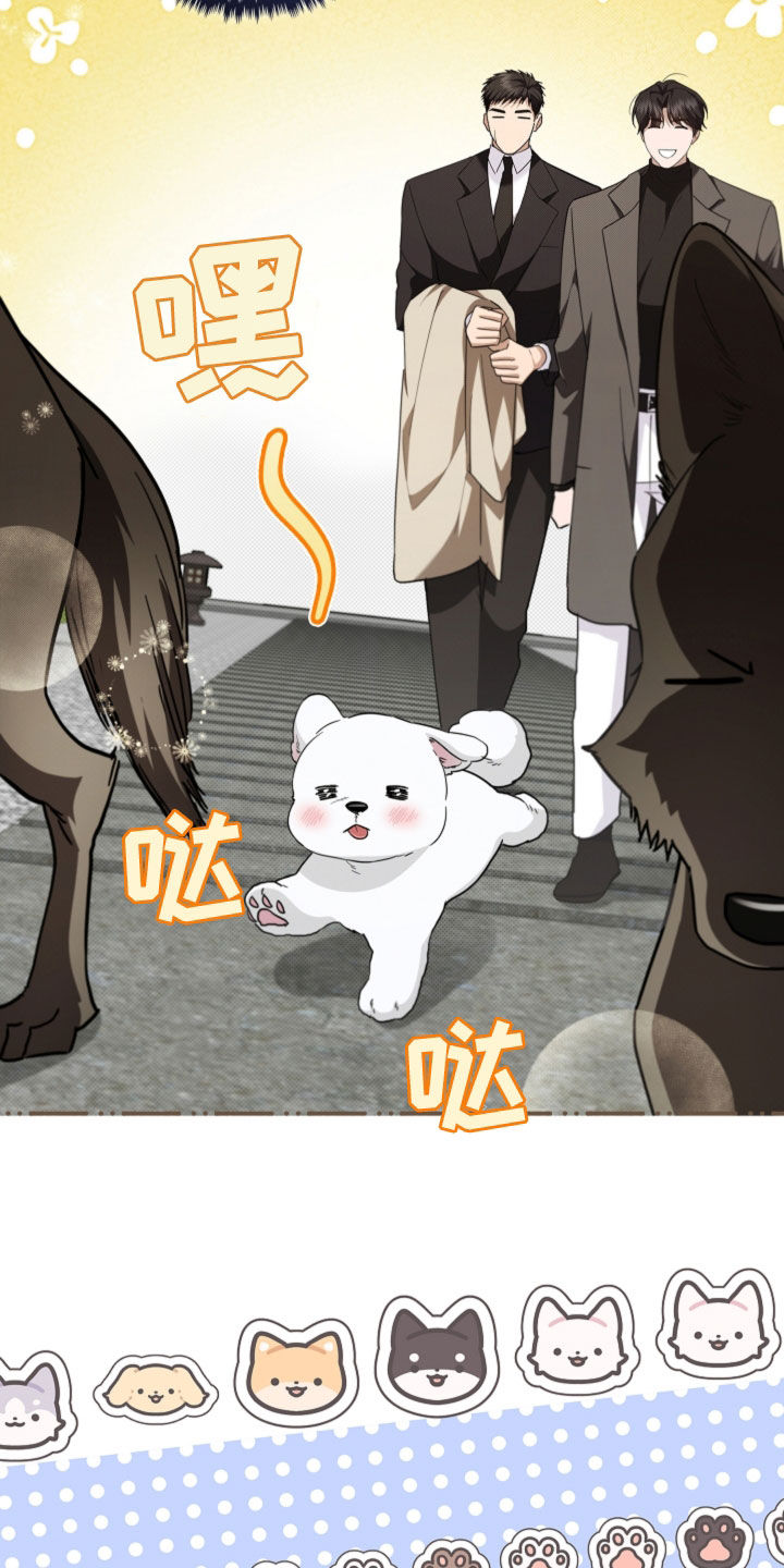 小白狗奇遇记漫画,第67章：还得再看看2图