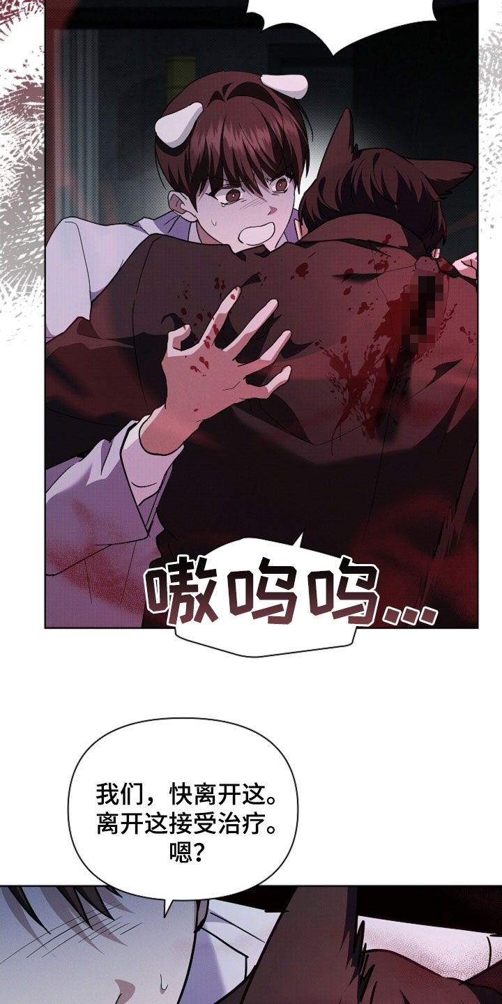 小白狗奇遇记漫画,第84章：【第二季】受伤5图