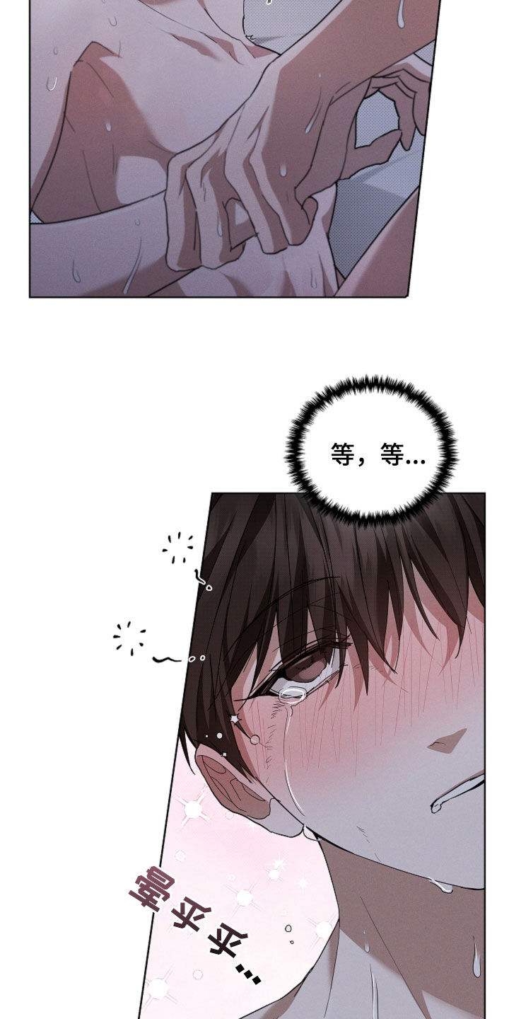 小白狗奇遇记漫画,第60章：成结2图