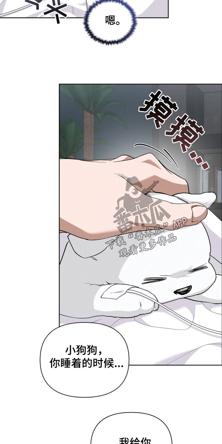 小白狗奇遇记漫画,第44章：大礼2图