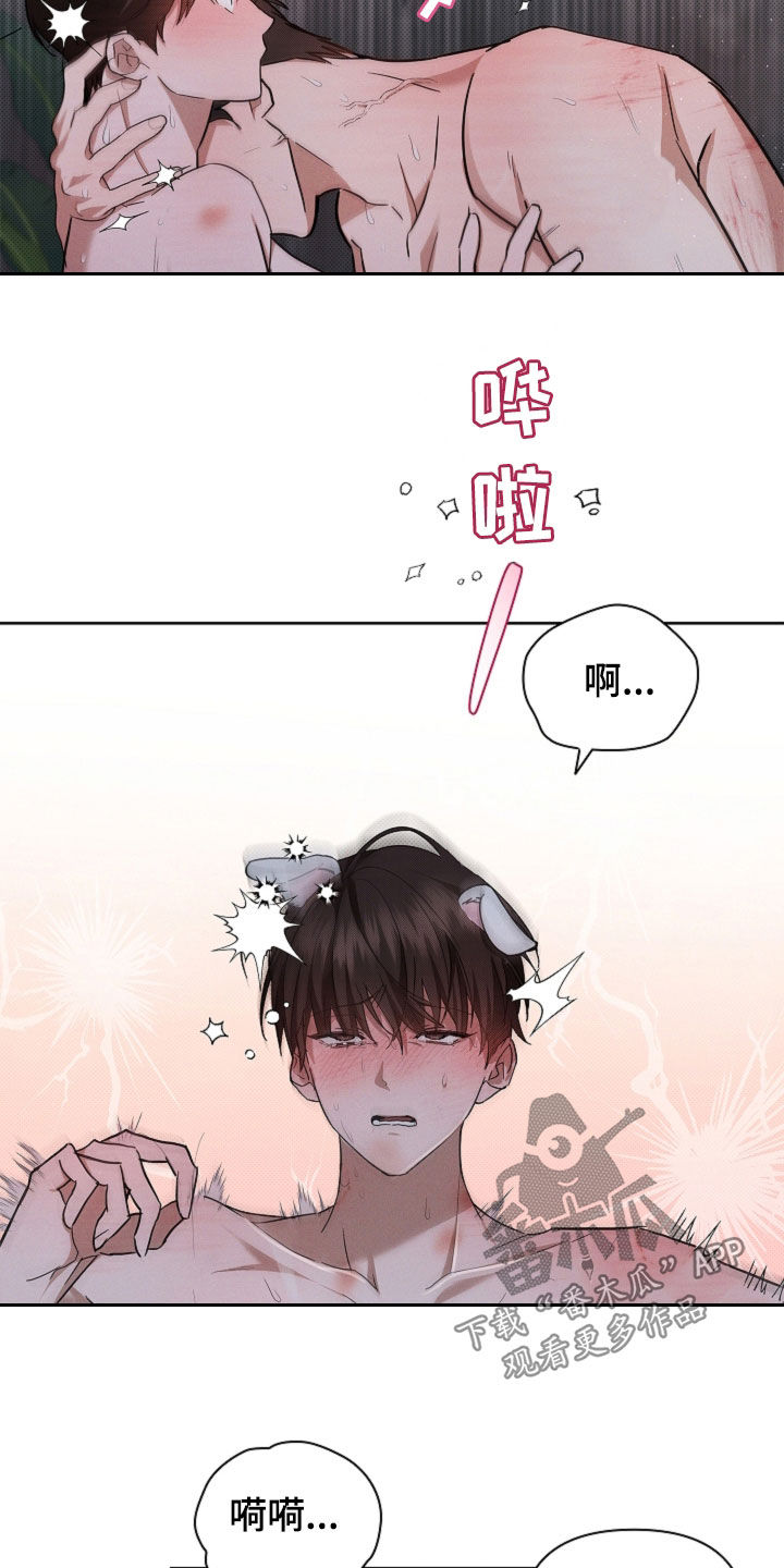 小白狗奇遇记漫画,第61章：真好看1图