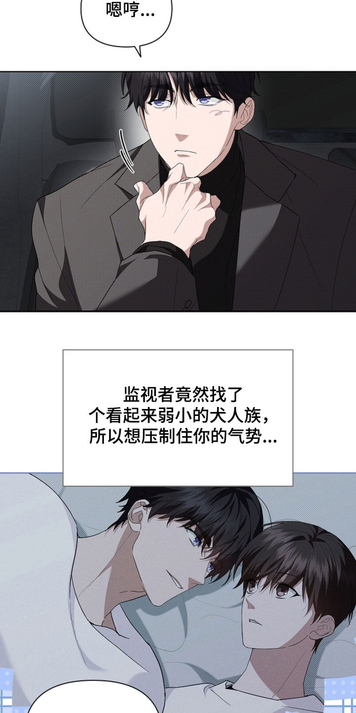 小白狗奇遇记漫画,第66章：见家长5图