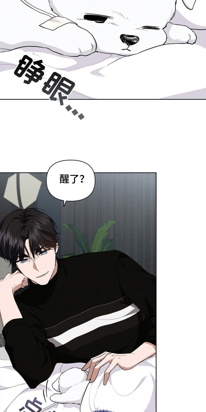 小白狗奇遇记漫画,第44章：大礼1图