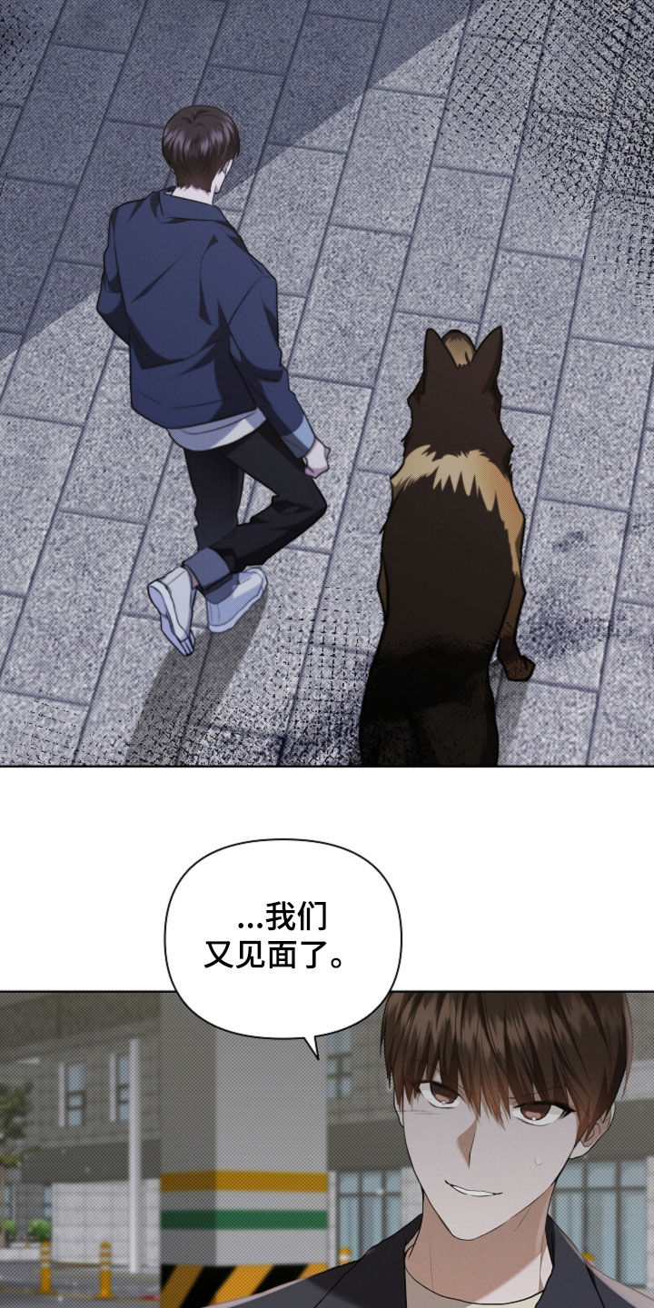 小白狗奇遇记漫画,第56章：叛徒2图