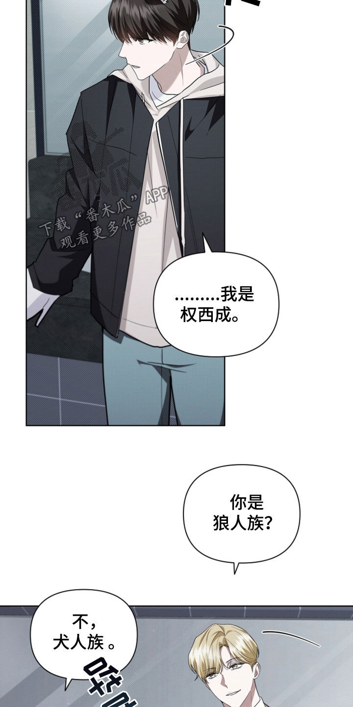 小白狗奇遇记漫画,第51章：我闯祸了4图