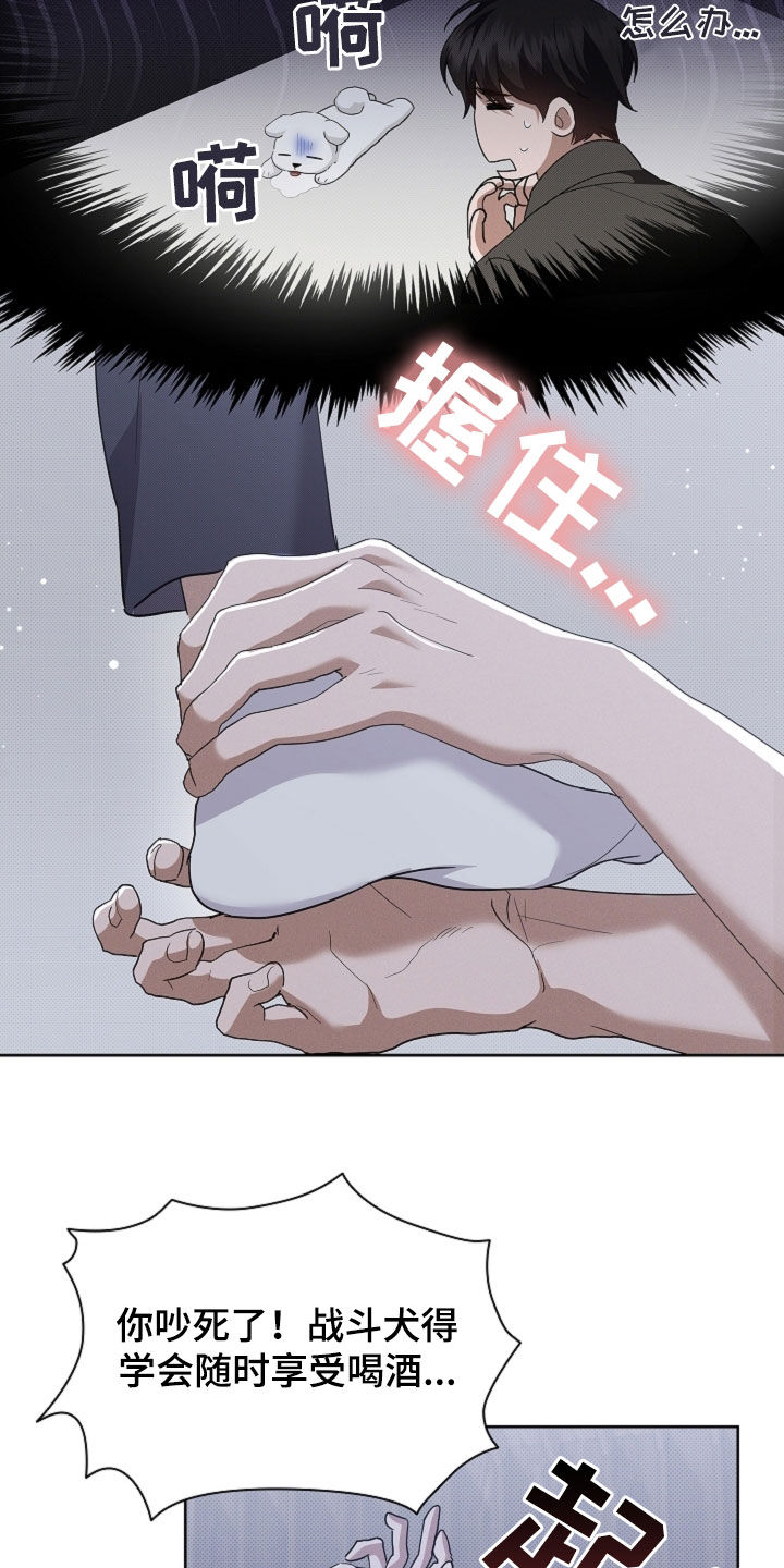 小白狗奇遇记漫画,第69章：果然很聪明5图
