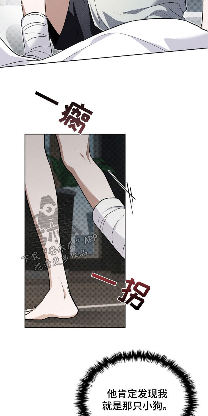 小白狗奇遇记漫画,第42章：是不是疯了3图