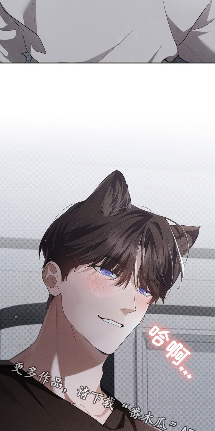 小白狗奇遇记漫画,第58章：是你就没关系4图