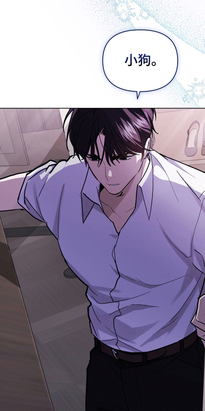 小白狗奇遇记漫画,第42章：是不是疯了1图
