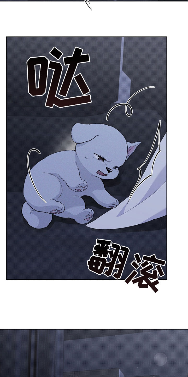 小白狗奇遇记漫画,第36章：打电话3图