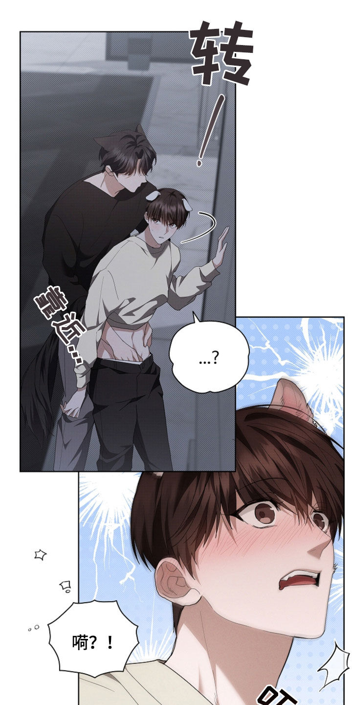 小白狗奇遇记漫画,第58章：是你就没关系3图