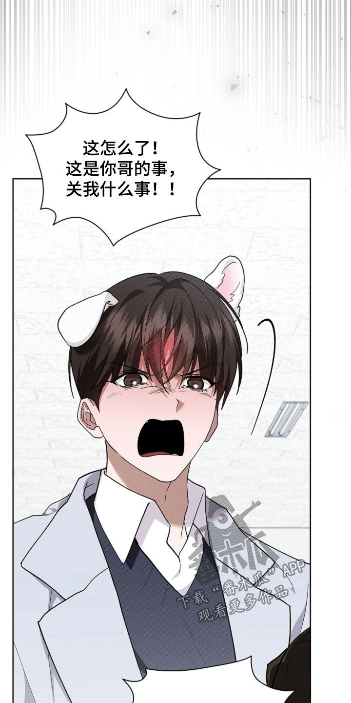 小白狗奇遇记漫画,第88章：【第二季】家人2图