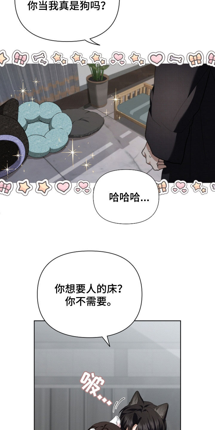 小白狗奇遇记漫画,第53章：不难过4图
