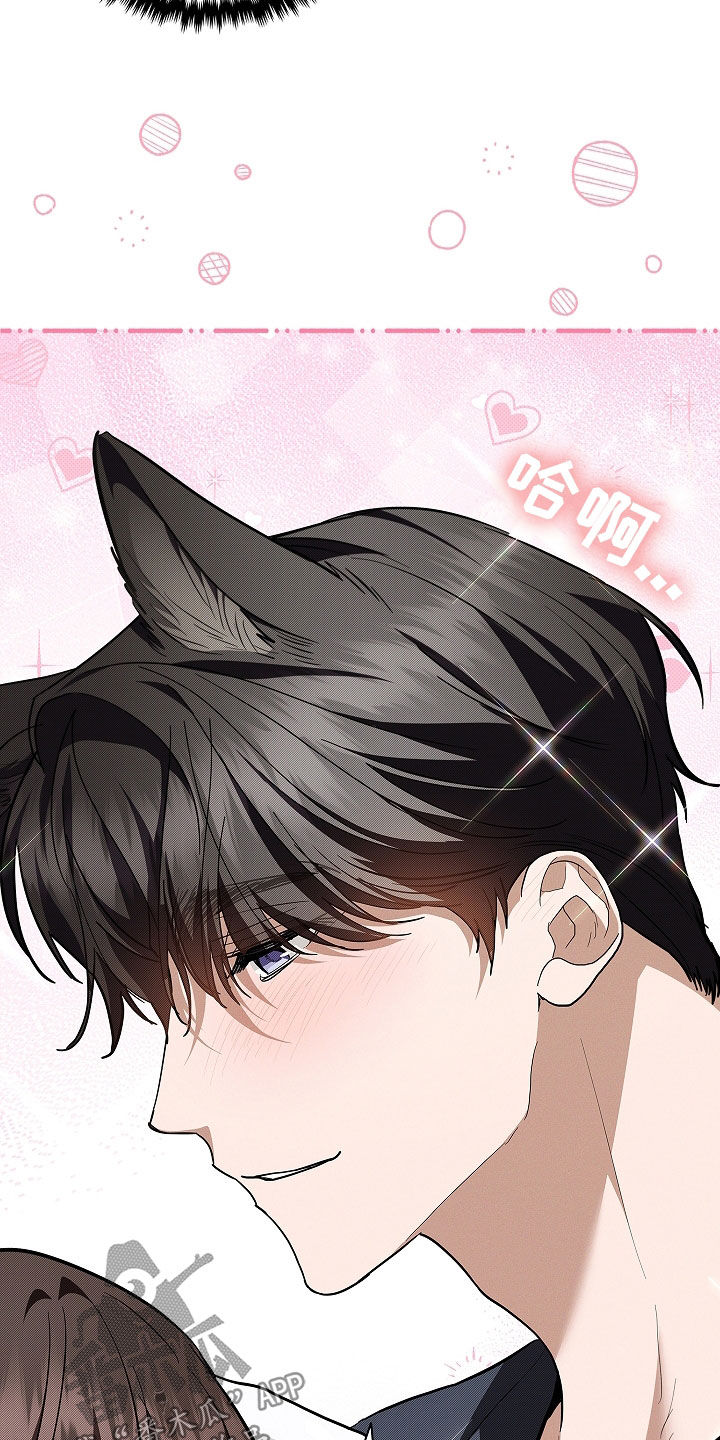 小白狗奇遇记漫画,第46章：这是什么4图