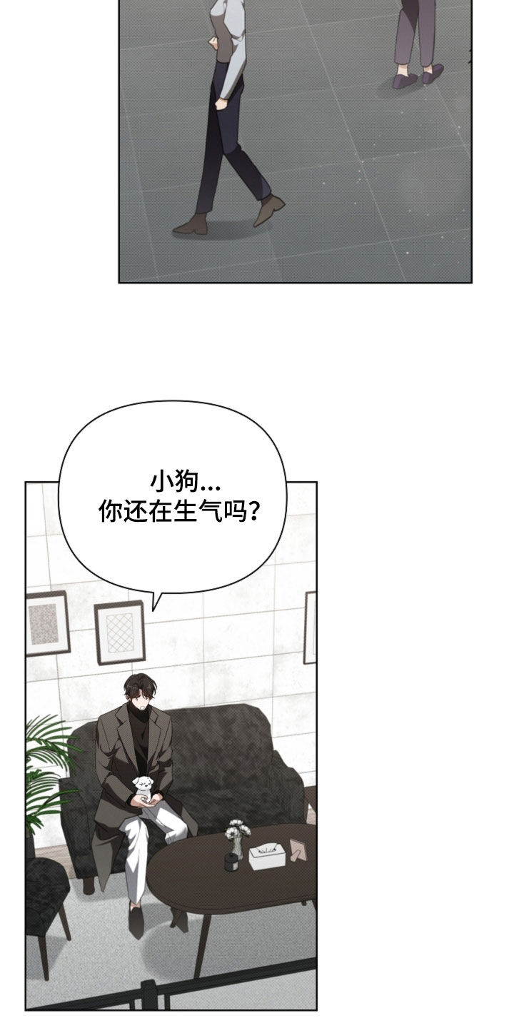 小白狗奇遇记漫画,第65章：做美容1图