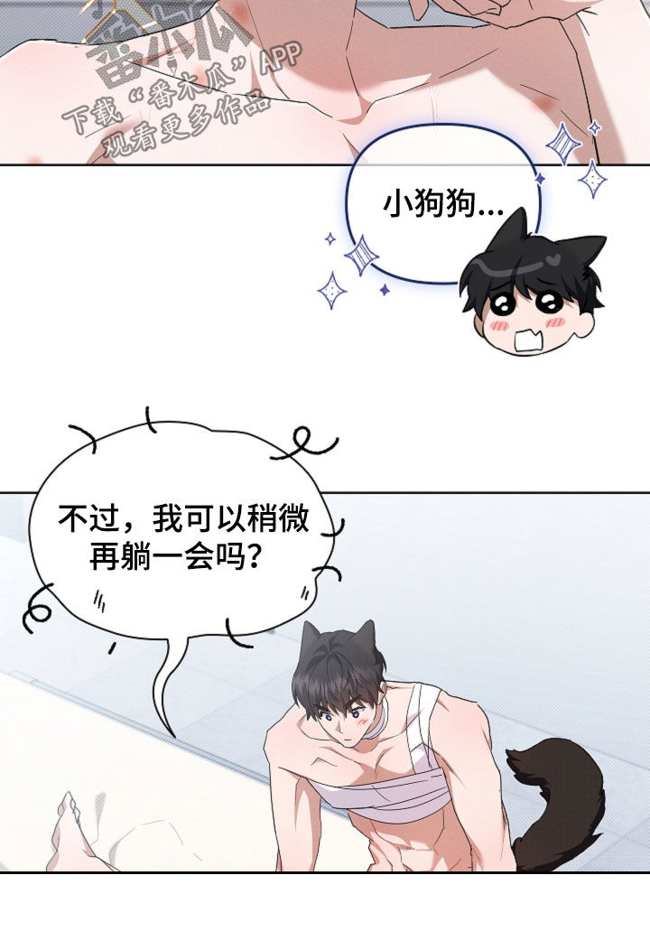 小白狗奇遇记漫画,第93章：【第二季】不能哭2图