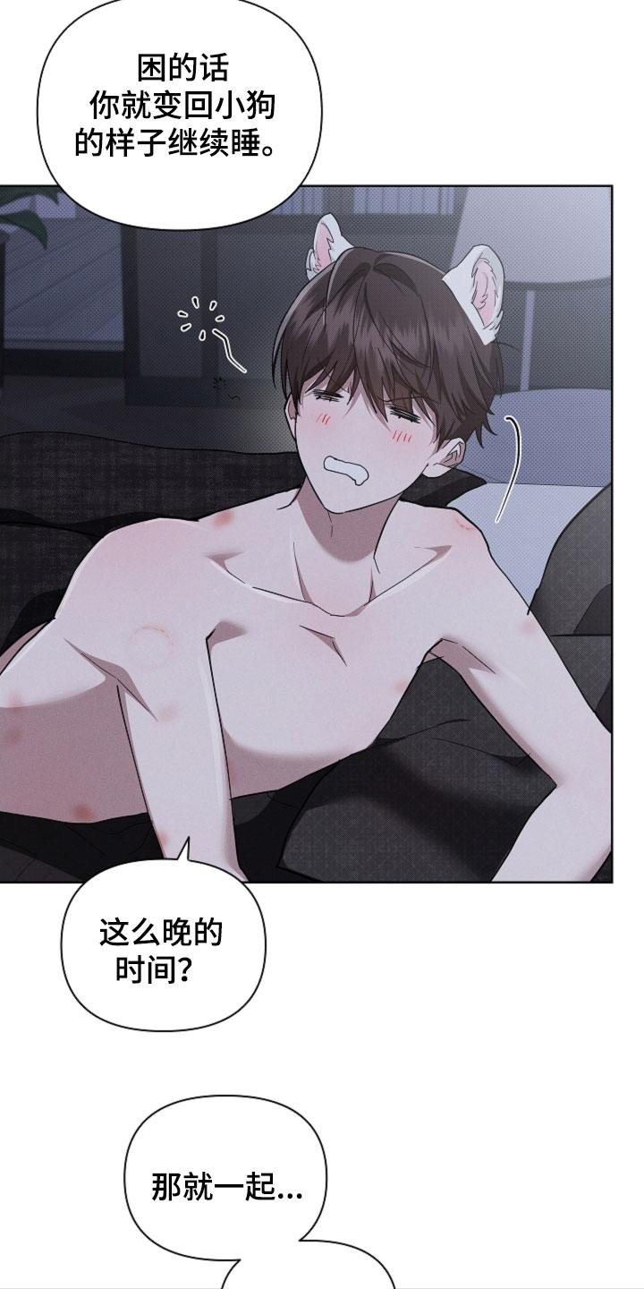小白狗奇遇记漫画,第98章：【番外】真固执2图