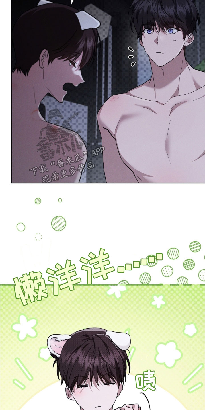 小白狗奇遇记漫画,第98章：【番外】真固执4图