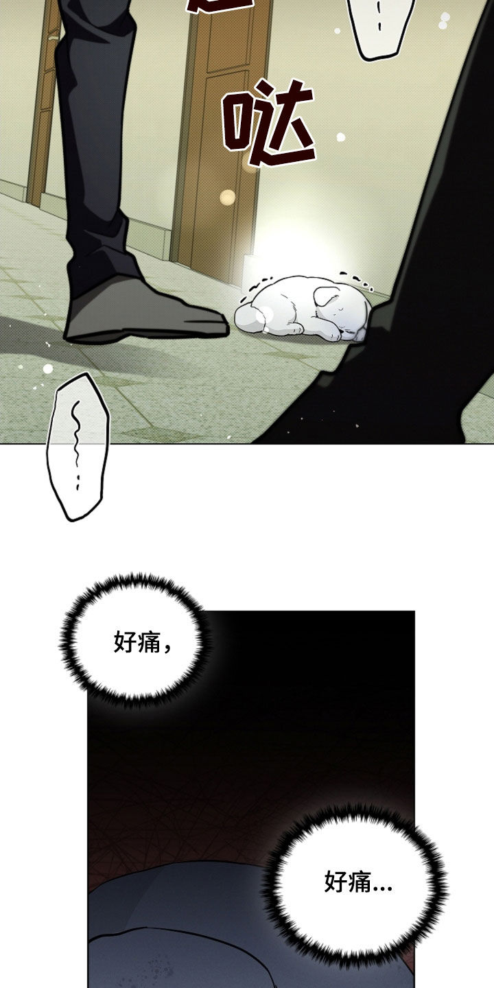 小白狗奇遇记漫画,第40章：逃跑3图