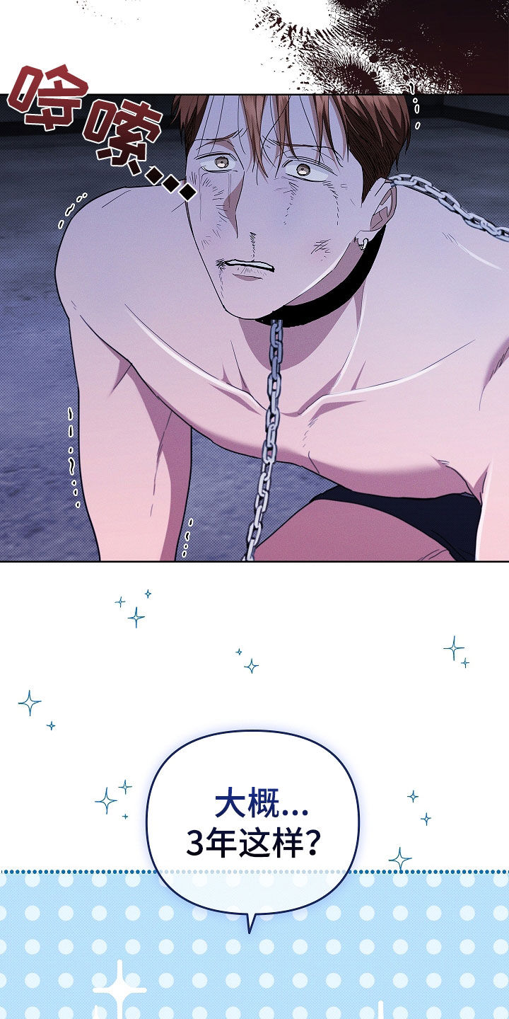 小白狗奇遇记漫画,第45章：报仇5图