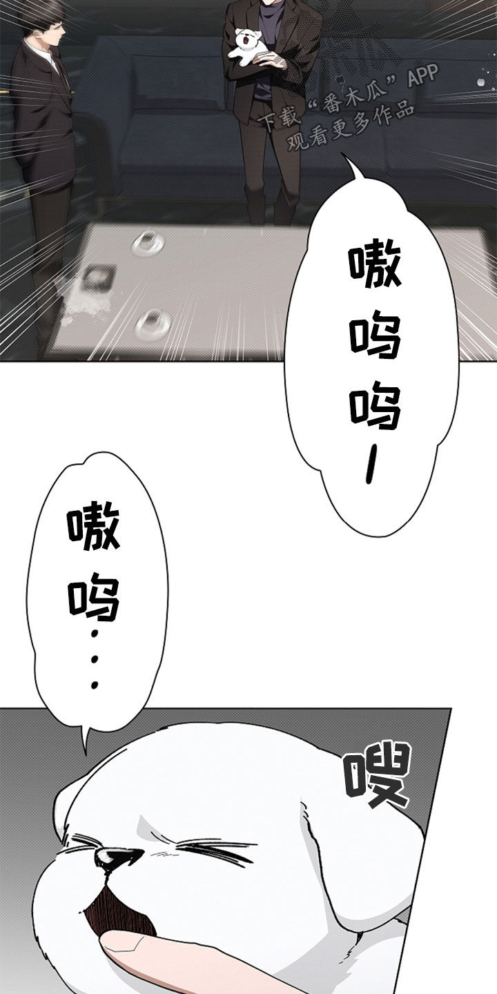 小白狗奇遇记漫画,第35章：你算什么东西2图