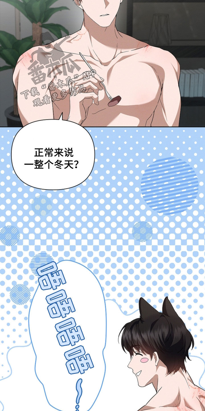 小白狗奇遇记漫画,第62章：食人狼4图