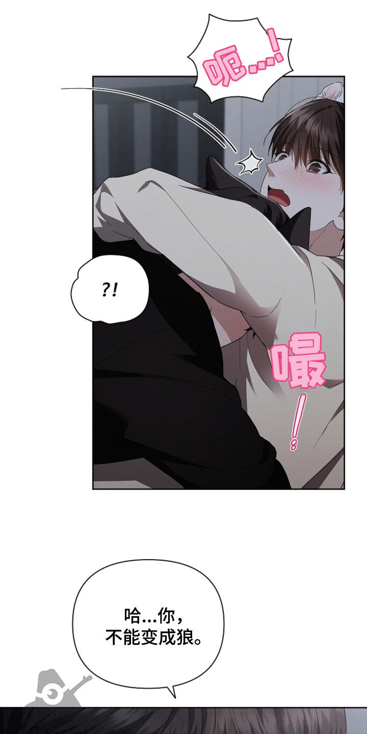 小白狗奇遇记漫画,第58章：是你就没关系1图