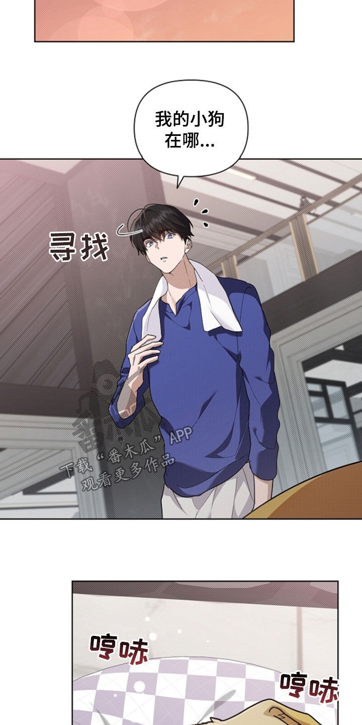 小白狗奇遇记漫画,第101章：【番外】带娃1图