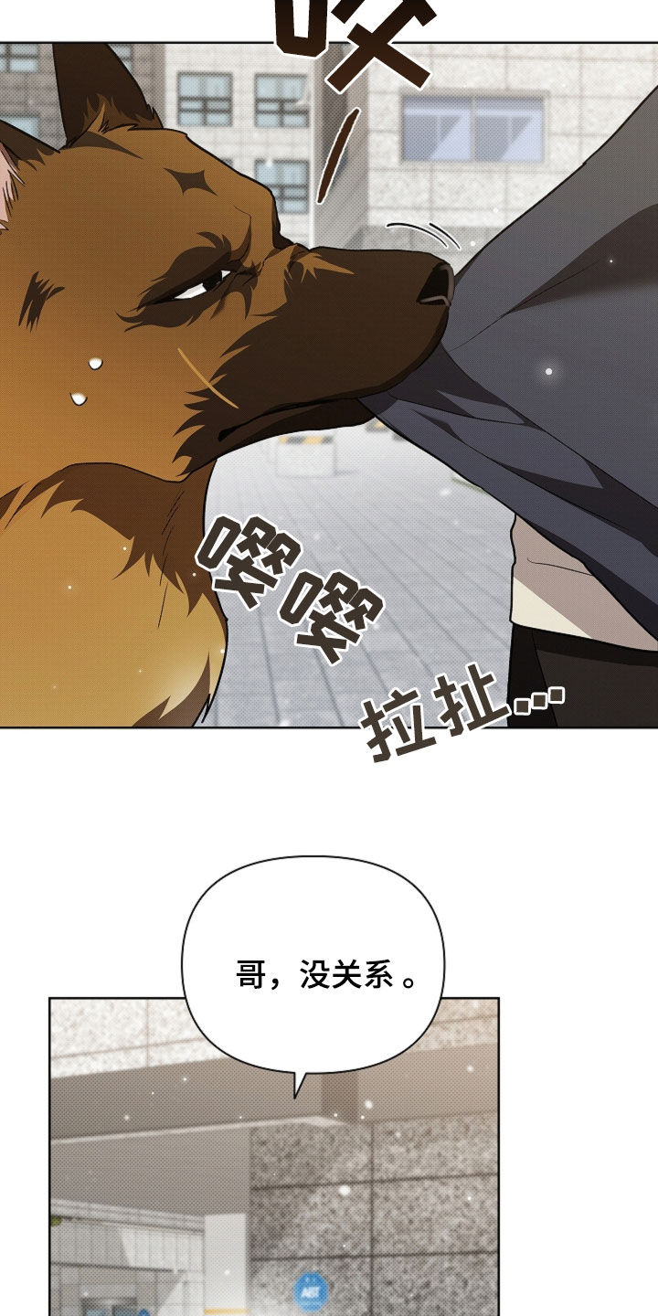 小白狗奇遇记漫画,第56章：叛徒2图