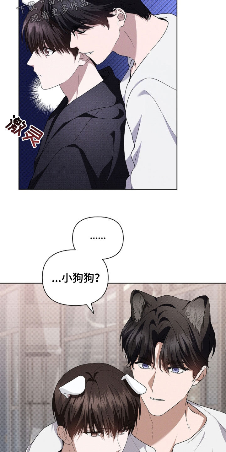 小白狗奇遇记漫画,第53章：不难过1图