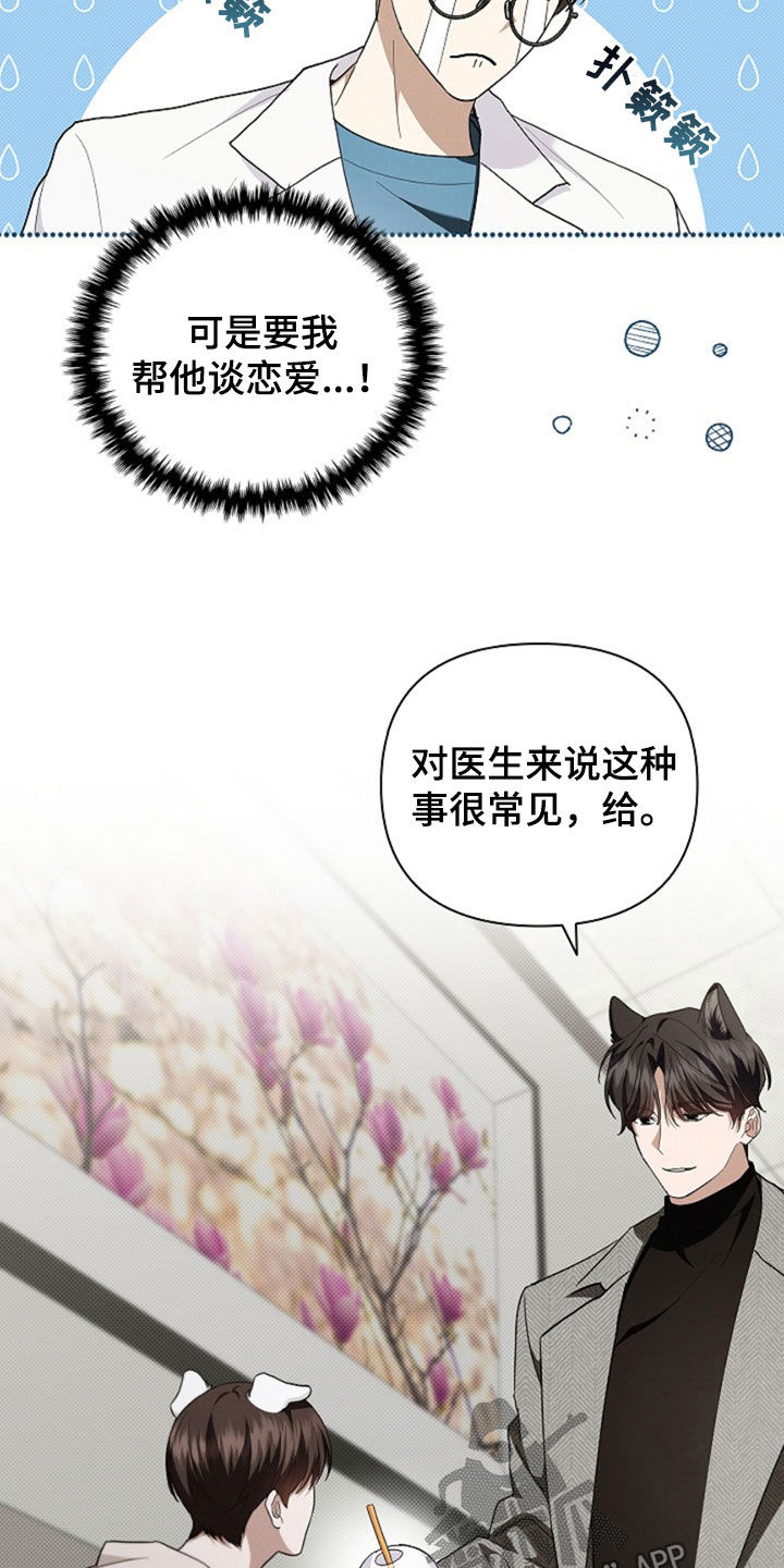 小白狗奇遇记漫画,第49章：建议2图