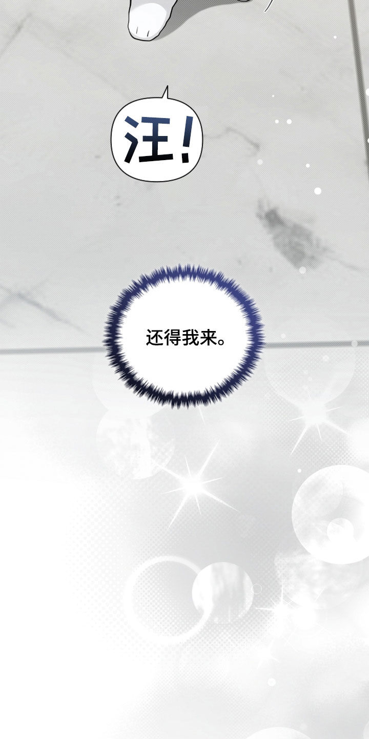 小白狗奇遇记漫画,第100章：【番外】还得我来3图