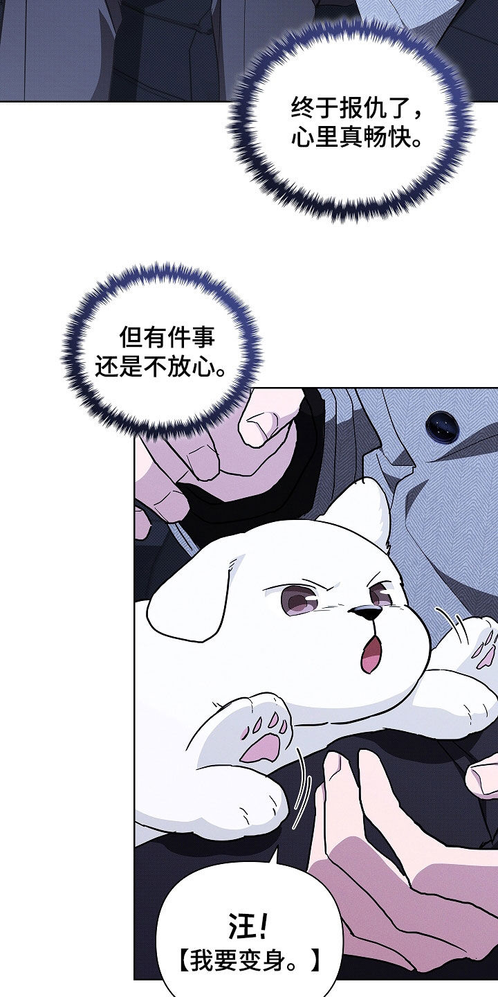 小白狗奇遇记漫画,第45章：报仇1图