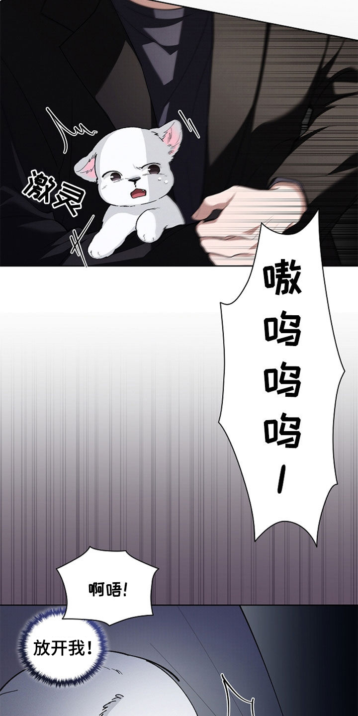 小白狗奇遇记漫画,第36章：打电话2图