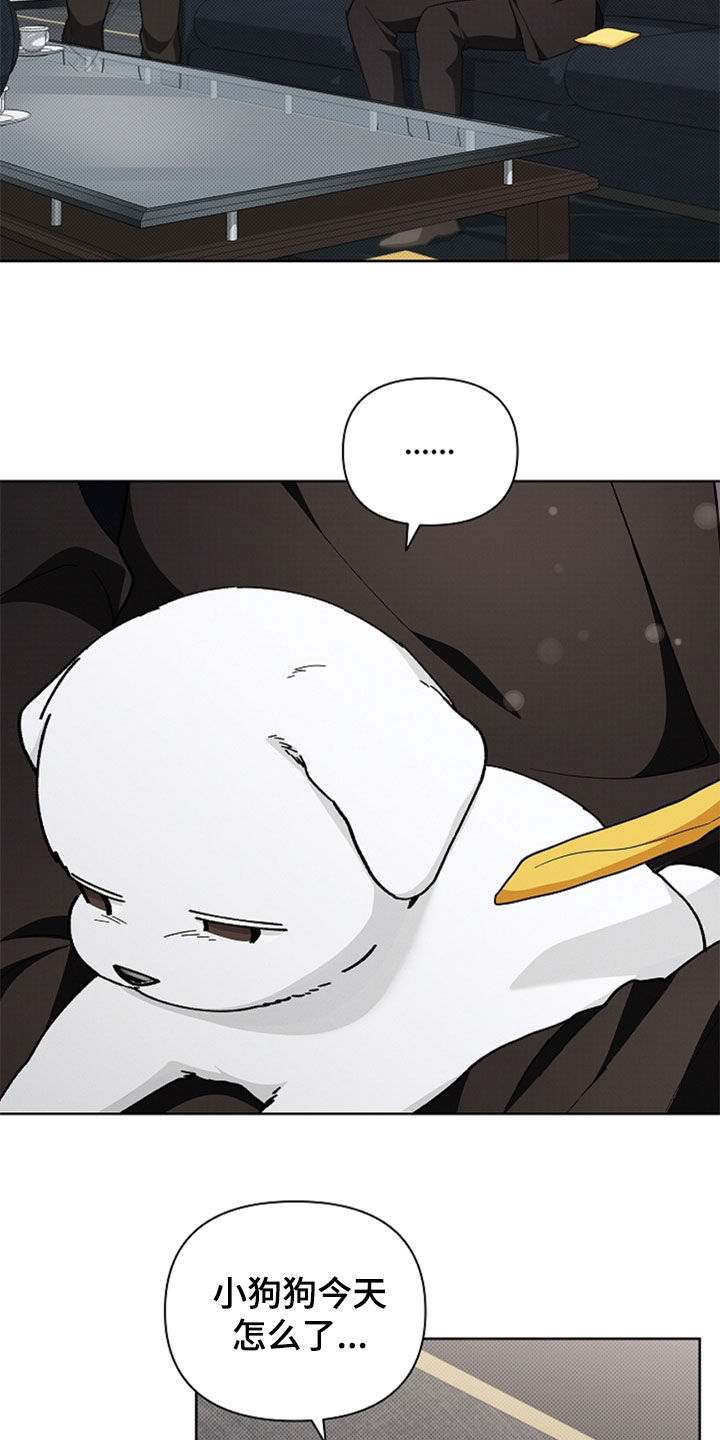 小白狗奇遇记漫画,第35章：你算什么东西4图