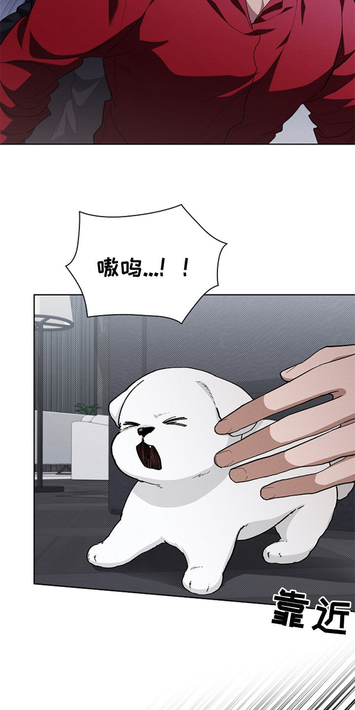 小白狗奇遇记漫画,第36章：打电话3图