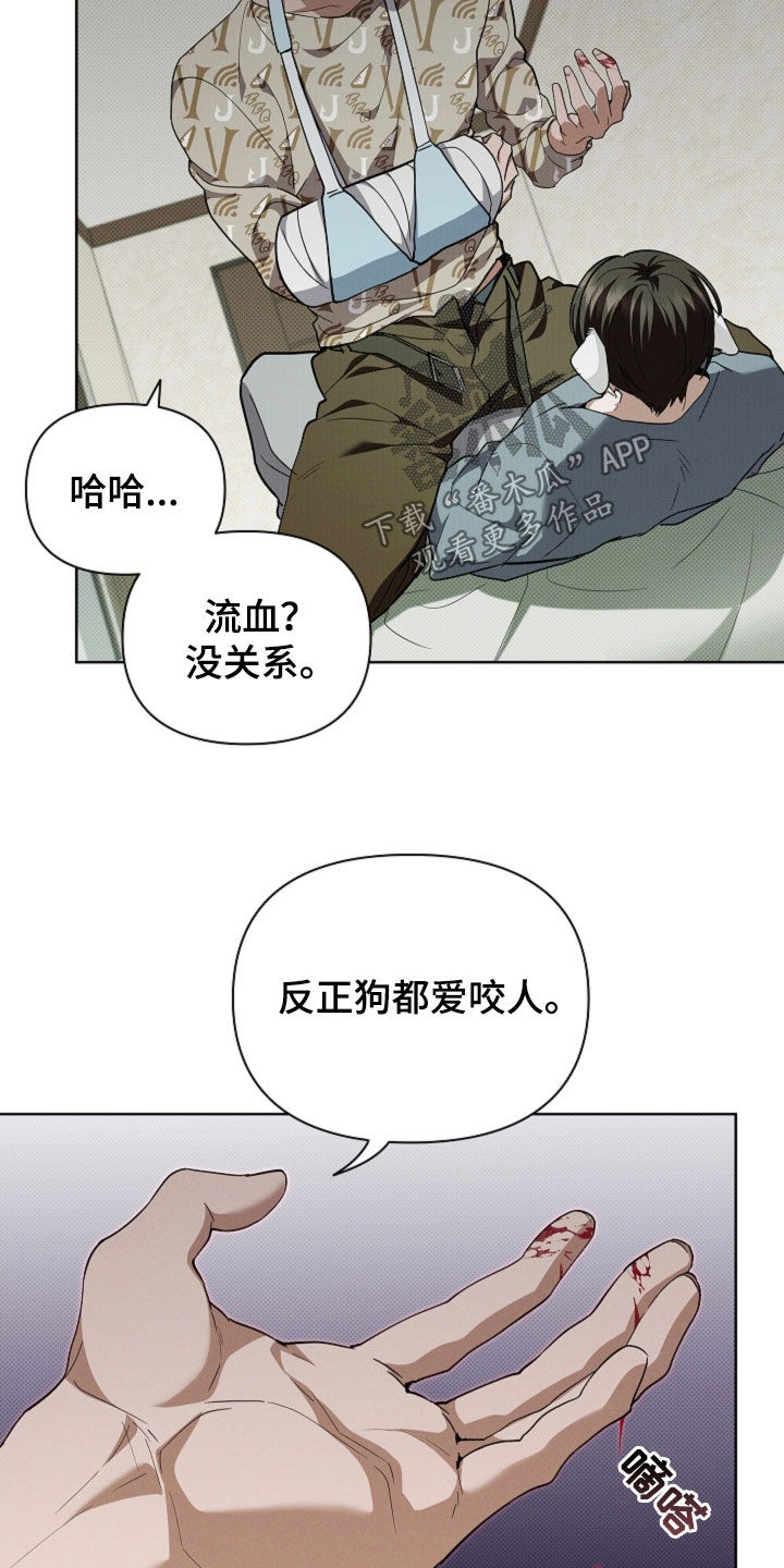 小白狗奇遇记漫画,第40章：逃跑2图