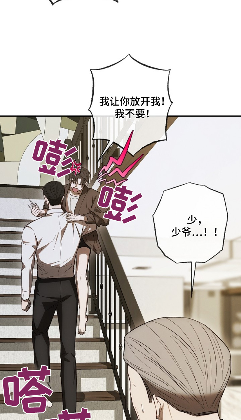 管教掌中秘宝 漫画,第33章：放开我5图