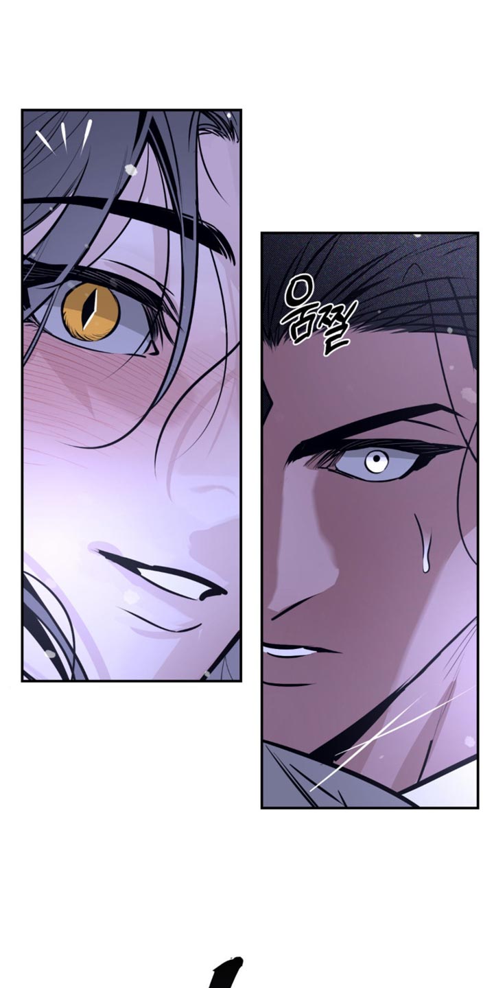 第53章：分解吧0