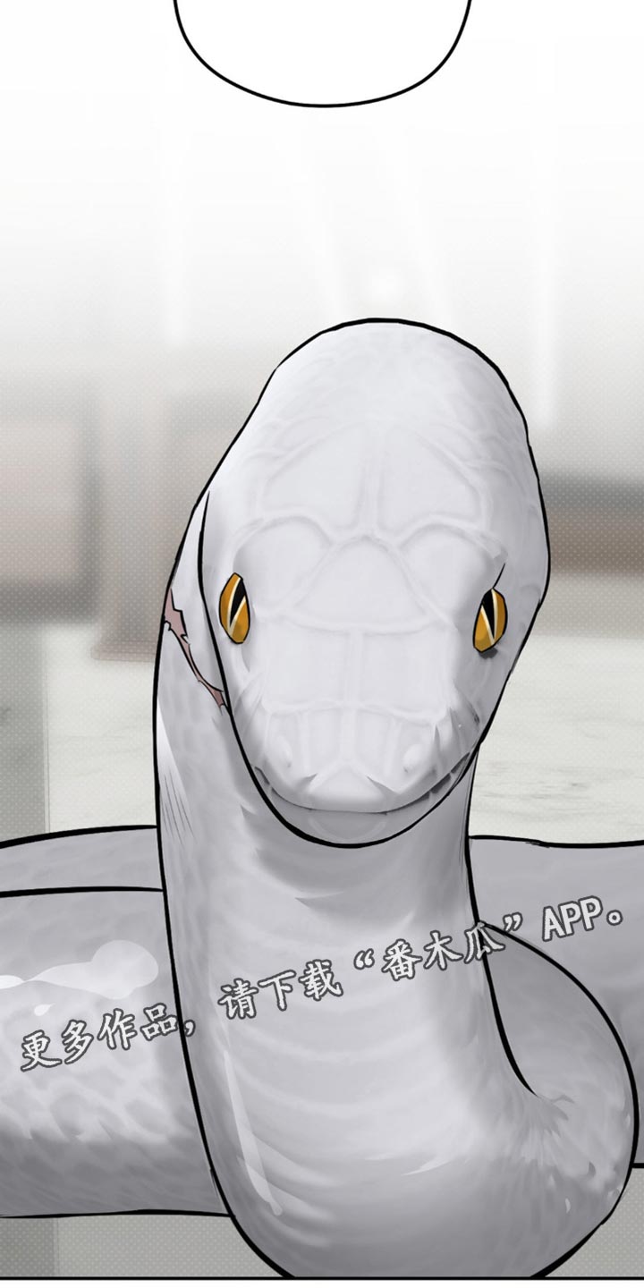 月光蟒影画涯叫什么名字漫画,第33章：还挺可爱的1图