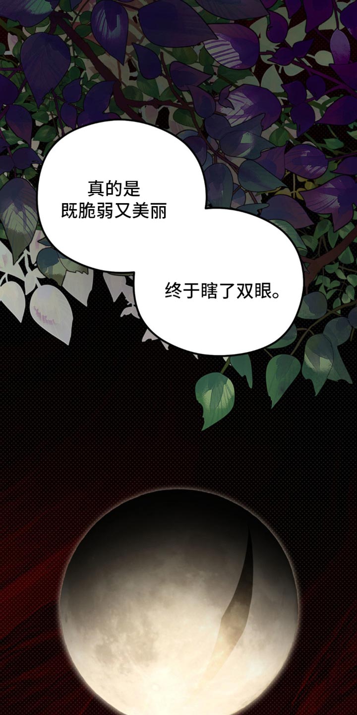 月光蟒影完结版漫画解说漫画,第35章：无论如何5图