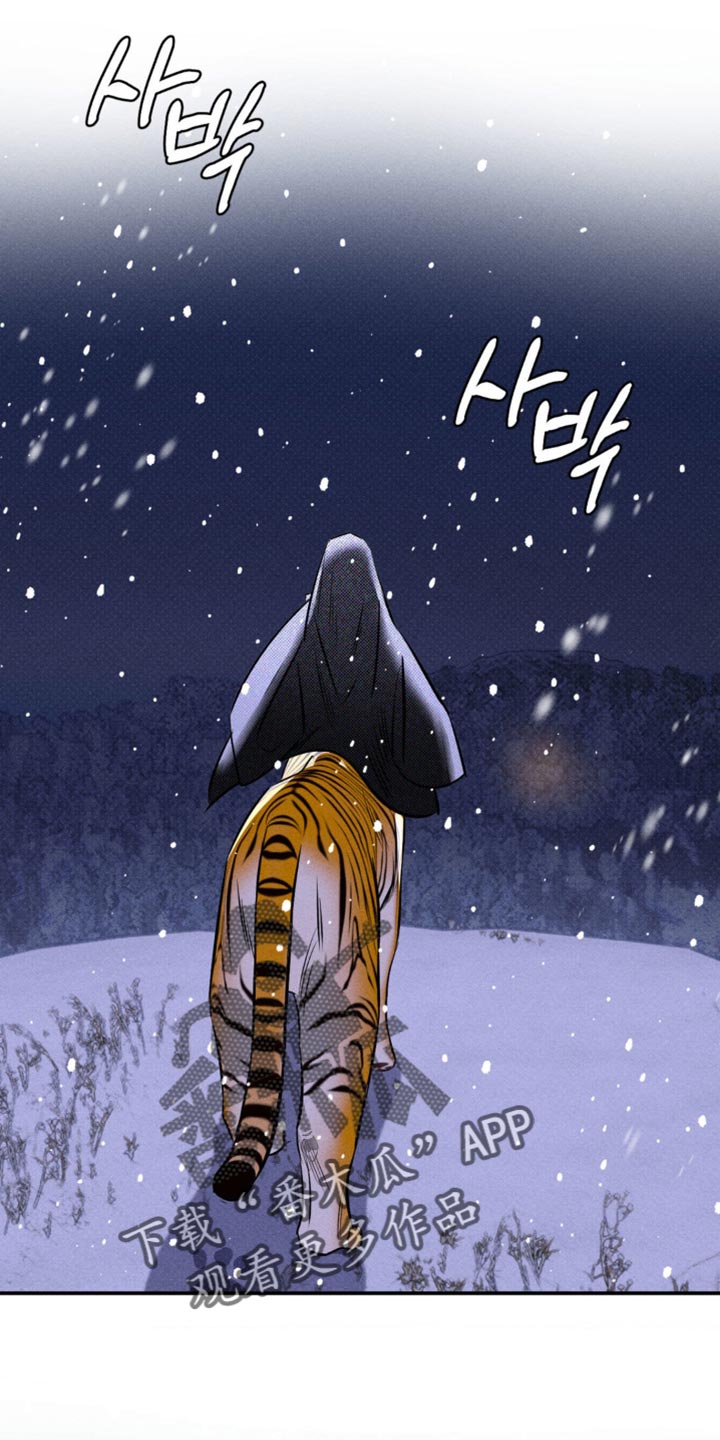 月光蟒影韩漫还是国漫漫画,第49章：捕猎3图