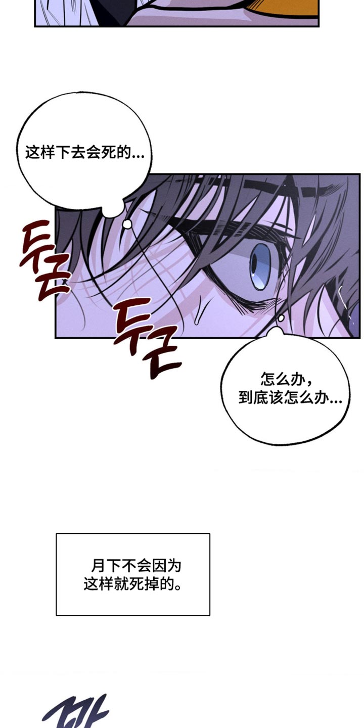 第53章：分解吧2