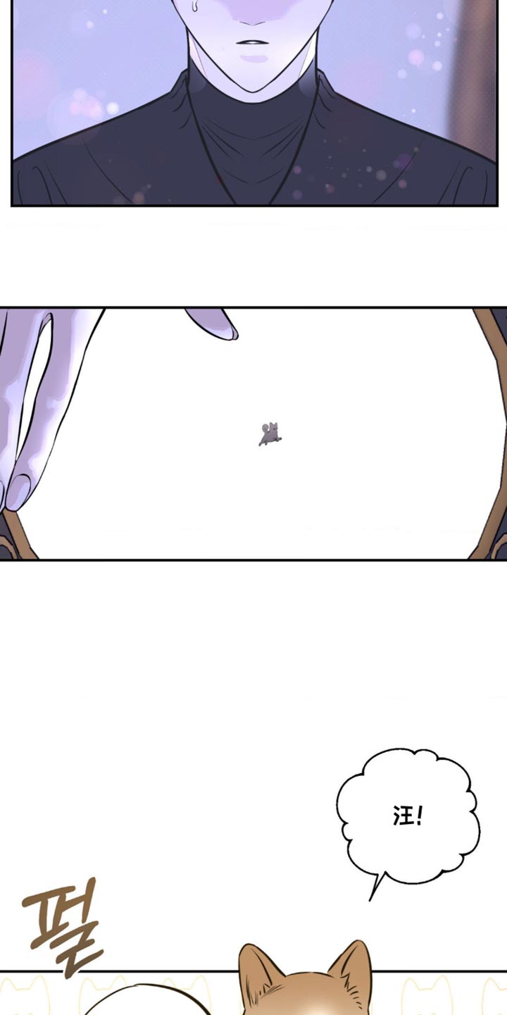 月光蟒影画涯叫什么名字漫画,第50章：所有的记忆5图