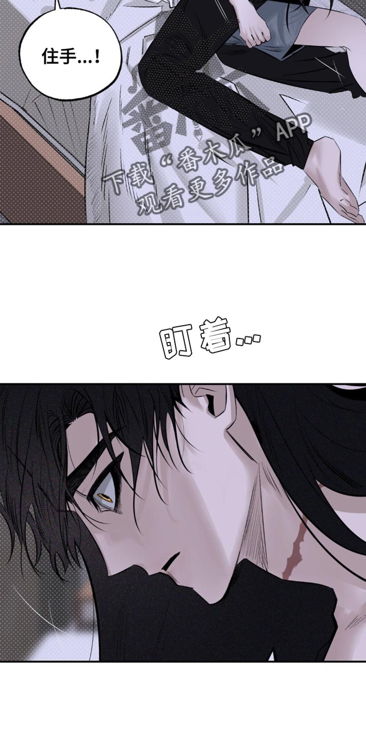 月光蟒影漫画,第19章：它们憎恨我4图