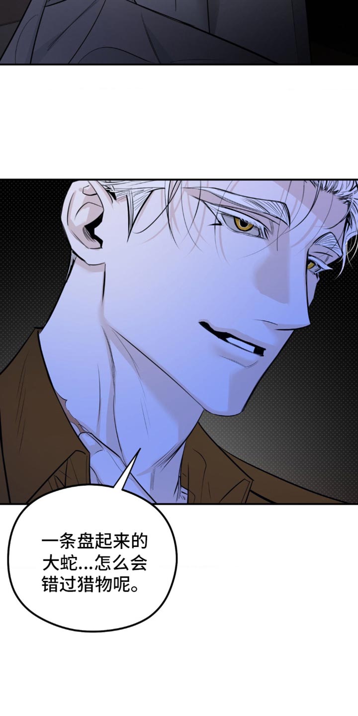 月光蟒影完结版漫画解说漫画,第35章：无论如何2图