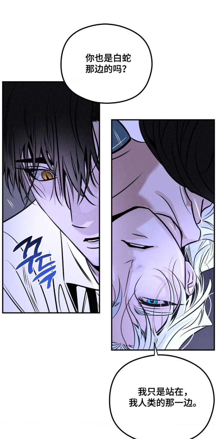 月光蟒影漫画,第49章：捕猎4图